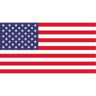 Global web icon
